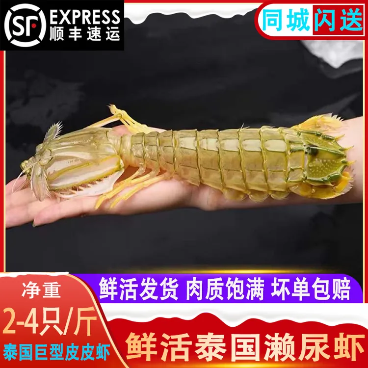 鲜活富贵虾特大濑尿虾皮皮虾3只冲氧活发包鲜包肥不包活巨型龙虾