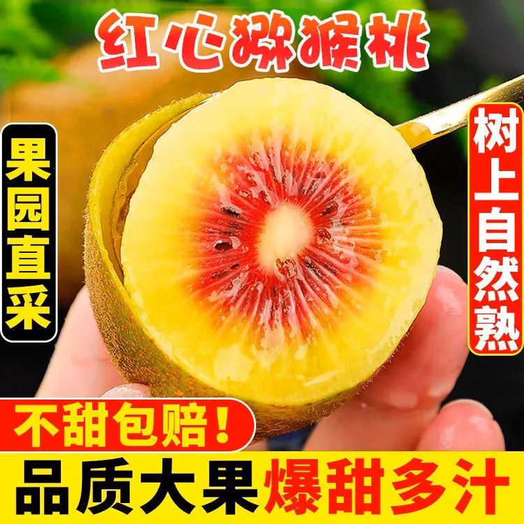 四川红心猕猴桃奇异果当季果鲜果24枚大果放软食用香甜新鲜猕猴桃