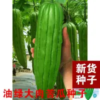 大肉苦瓜种子绿苦瓜种籽菜阳台耐热四季春季盆栽蔬菜