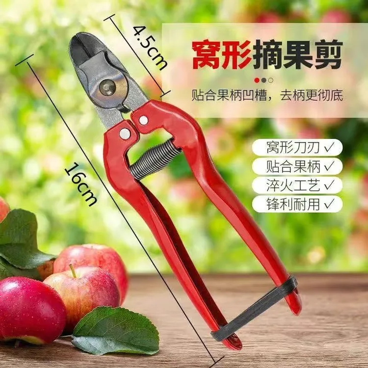 窝型摘果剪番茄苹果专用剪子采摘剪水果果把凹型修剪刀苹果果把剪