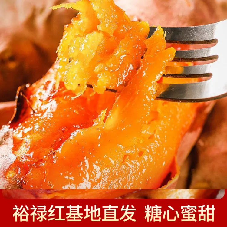 新鲜正宗西瓜红红薯无筋流油软糯香甜2024现挖现发农家自产自销