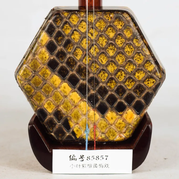赵军二胡小叶紫檀黄梅戏主胡专业演奏