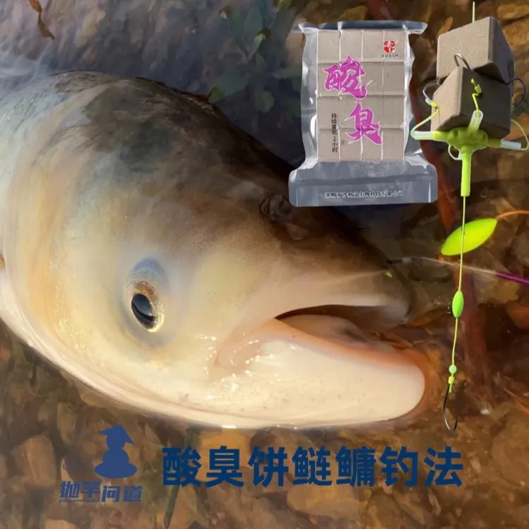 抛竿问道酸臭鲢鳙方块饼翻板饵水库钓花白鲢鱼远投海竿抛竿防缠钩