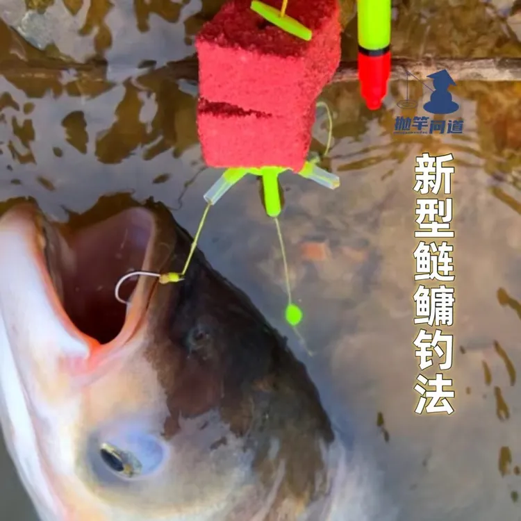 zb抛竿问道新型海竿鲢鳙钓法酸臭榴莲味方块饼水库抛竿钓花白鲢