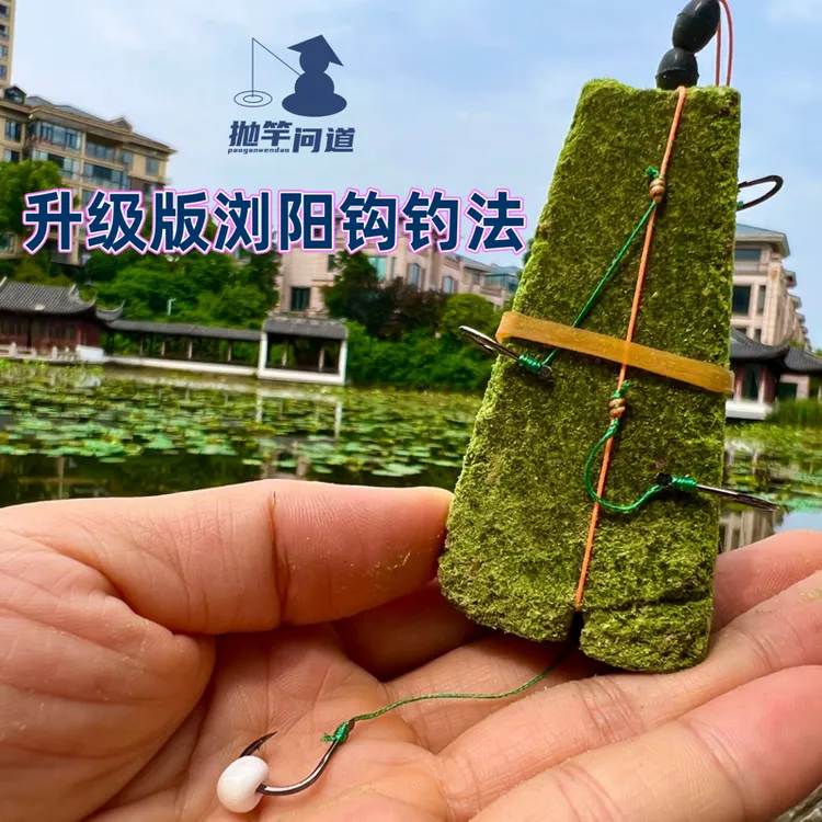 抛竿问道升级版浏阳钩钓法5钩带泡沫球海竿飞毛腿果酸浏阳坨糠饼