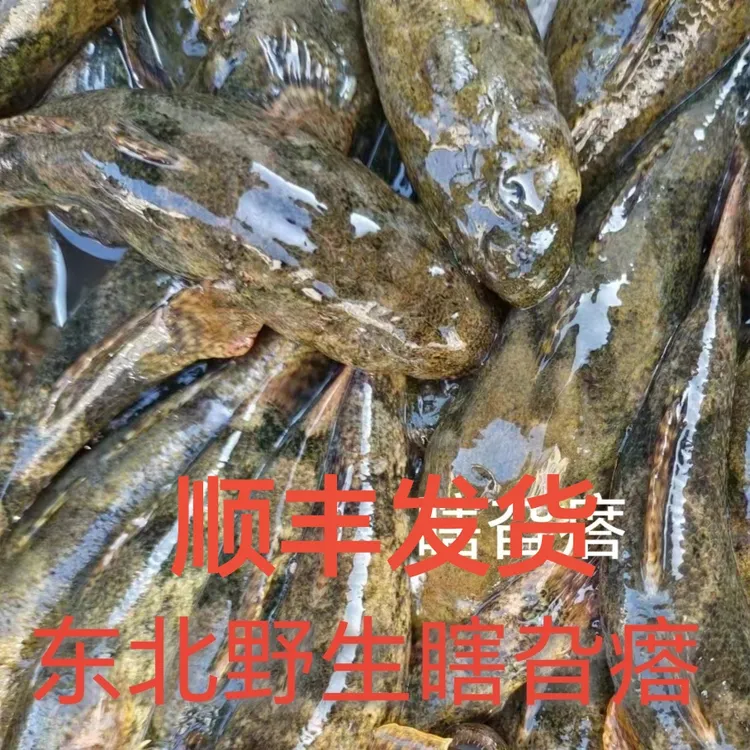 东北速冻小河鱼柳树根花泥鳅瞎旮瘩川汀子小杂鱼
