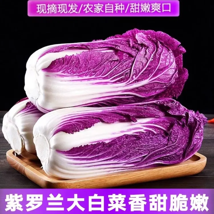 2025新上市紫罗兰白菜花青素白菜