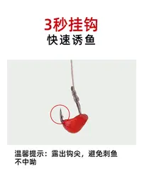 挂钩饵料