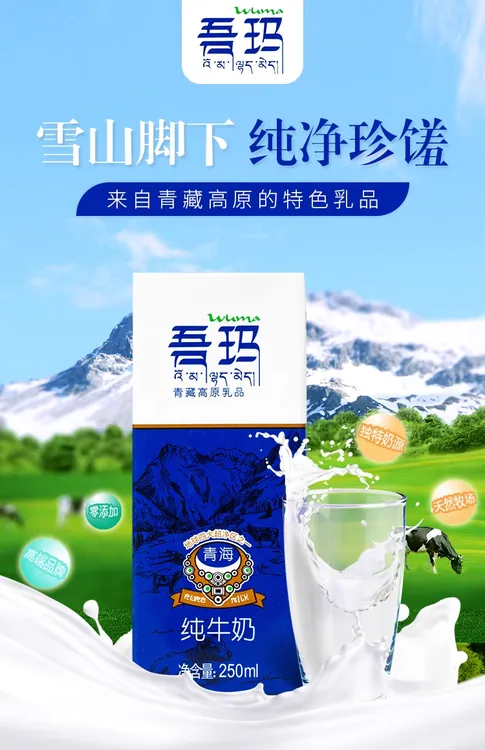 超好喝吾玛纯牛奶青藏高原鲜奶的口感牛奶250ml*12盒100%生牛乳