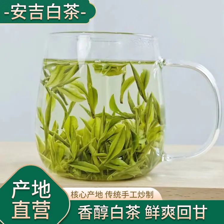 25年（兰香小芽）开园第四天采摘安吉原产地白茶春茶春季纯正兰花香