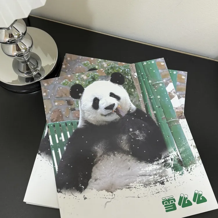 【萌兰】2023雪么么画报