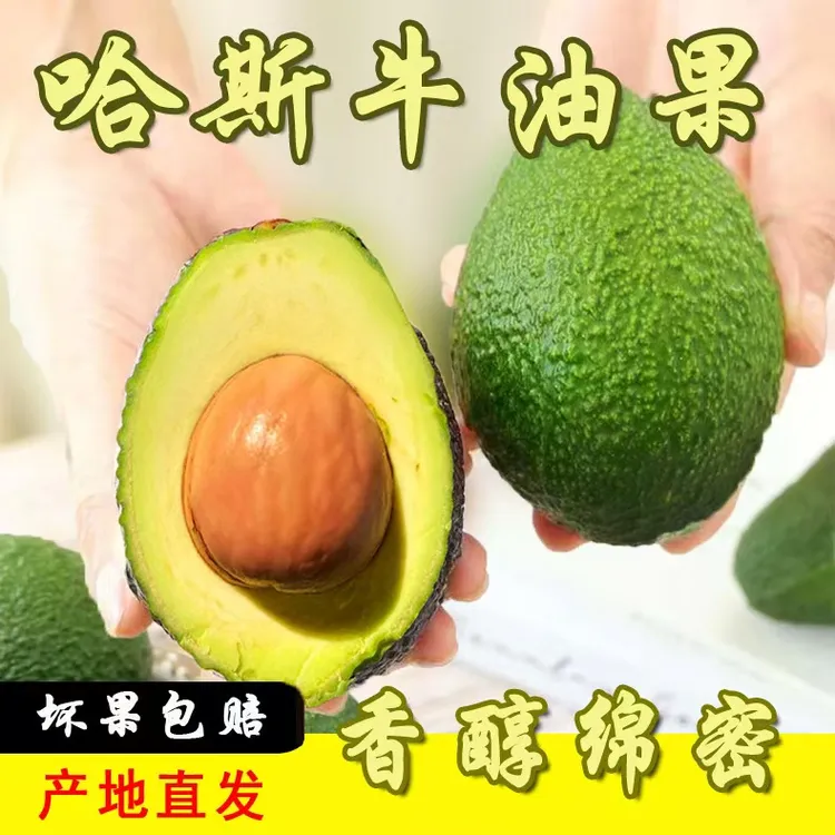 云南产地直发新鲜云南哈斯牛油果孕妇宝宝牛油果直播卖货第一名