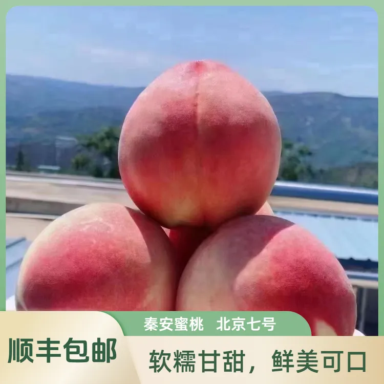 【北京七号】（甘肃省外）新鲜水蜜桃鲜应季孕妇水果桃子软糯甘甜多汁