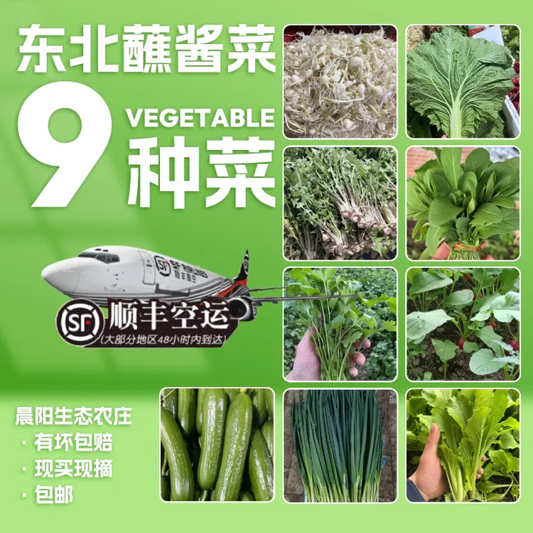 晨阳家东北小嫩蘸酱菜组合9种菜（顺丰空运）赠一袋香其酱