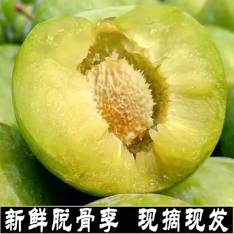 正宗四川脱骨李子新鲜青脆李子空心李脆甜土李子当季孕妇水果