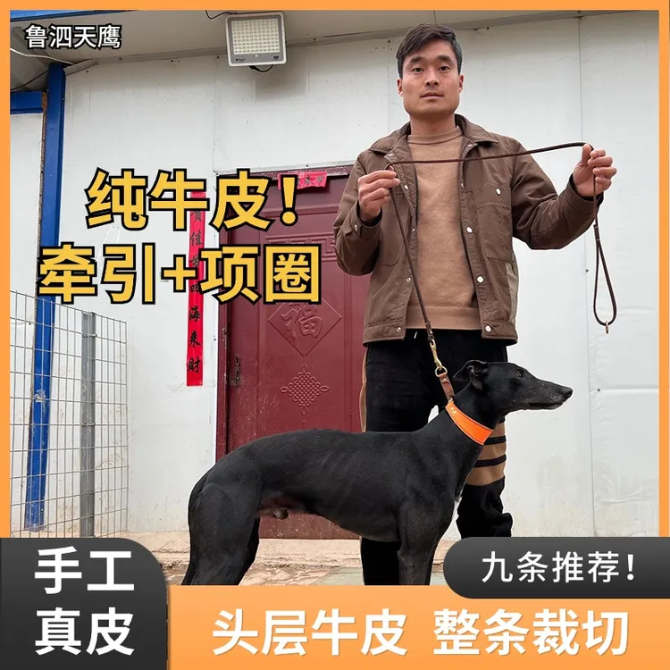 A牛皮项圈高颜值头层牛皮高品质狗狗项圈一拉紧调节脖套高端