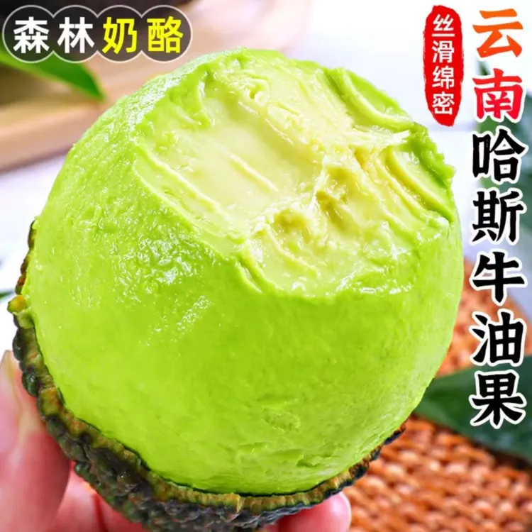 【哈斯牛油果】云南国产牛油果新鲜水果高山种植