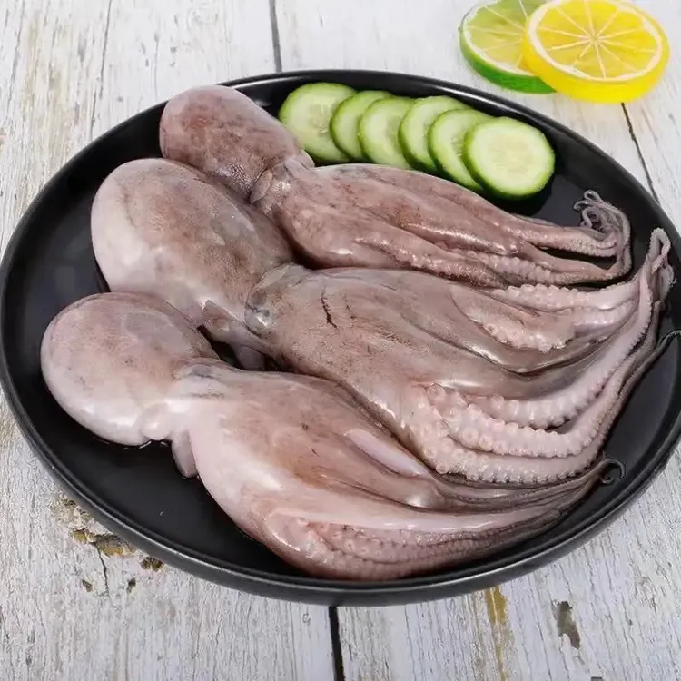 下船原浆小八爪4斤，海鲜看好再拍，不能来回折腾，不能拍着玩