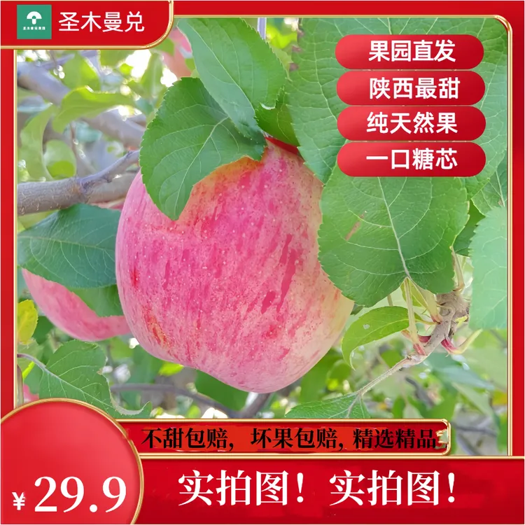 [2025新果] 小箱延安山地红富士苹果 脆甜多汁 果农直发 精选  