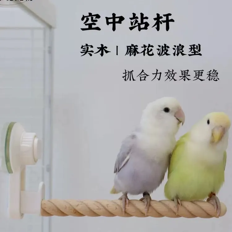 中小型鹦鹉吸盘站杆鹦鹉鸟类宠物玩具用具站棍站杆陶瓷玻璃吸盘