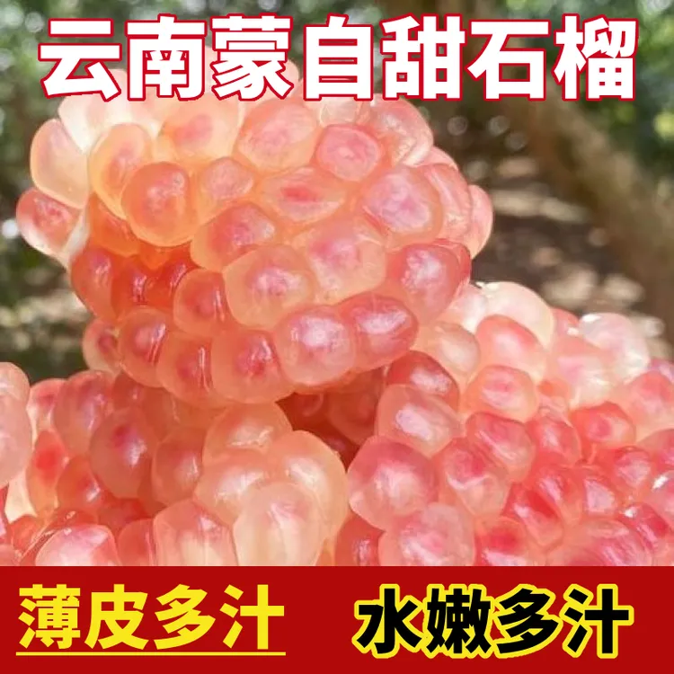 【新鲜采摘]云南蒙自特产光颜石榴头茬好果硬籽甜嫩多非会理突尼斯