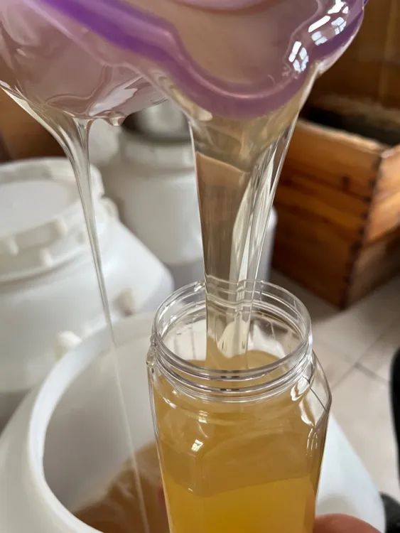  纯椴树嘧  百花嘧 活性酶 大山嘧 