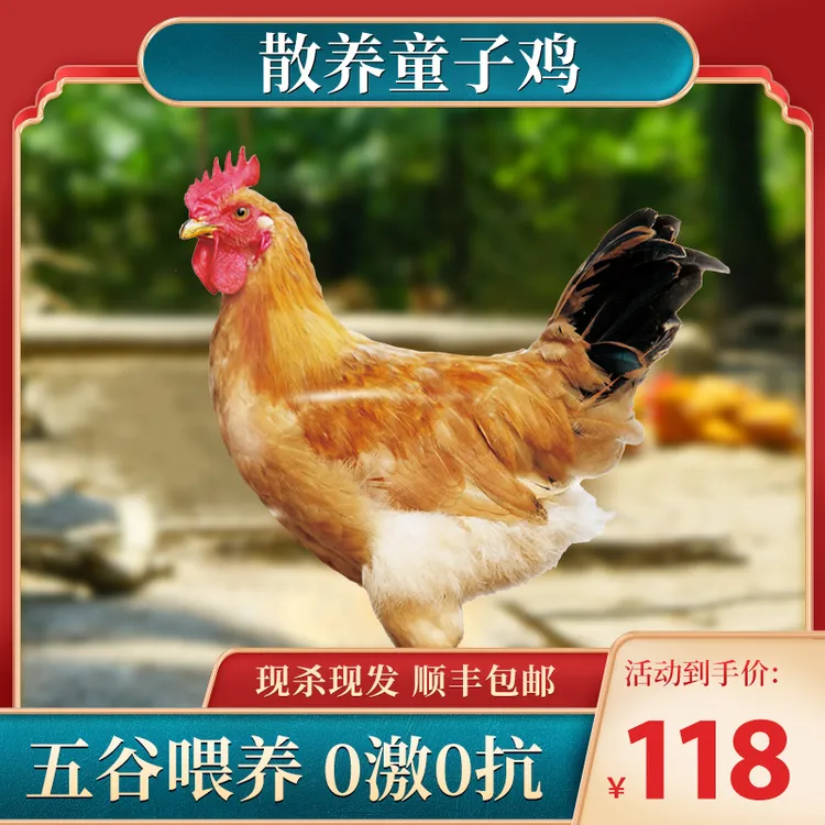 【散养童子鸡】走地溜达地锅柴火皖南三黄农家小土公鸡2只约1500g