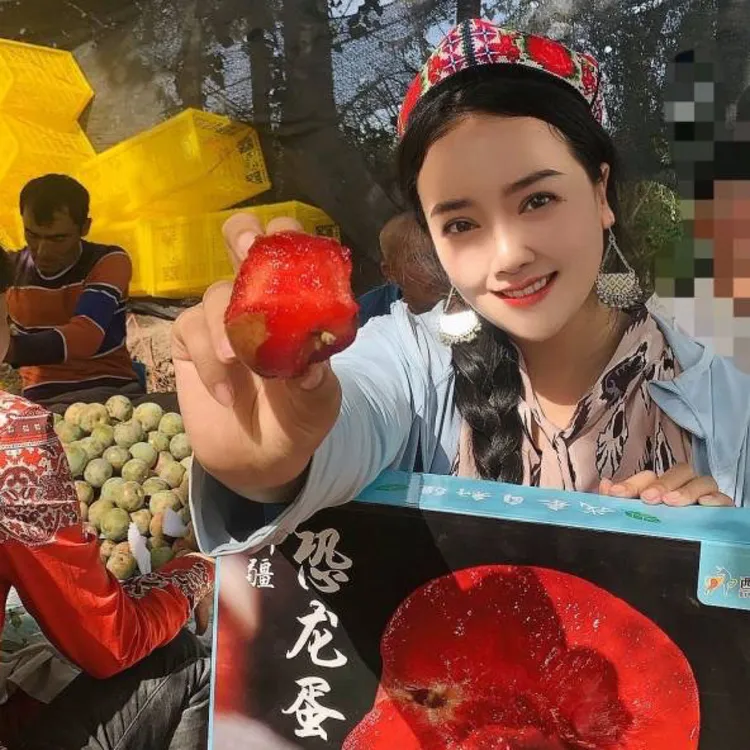 新疆味帝恐龙蛋杏李，8分甜2分酸，酸甜可口风味浓郁，汁水充足
