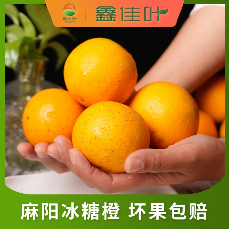 【鑫佳叶】湖南麻阳冰糖橙 新鲜采摘 净重4.5斤