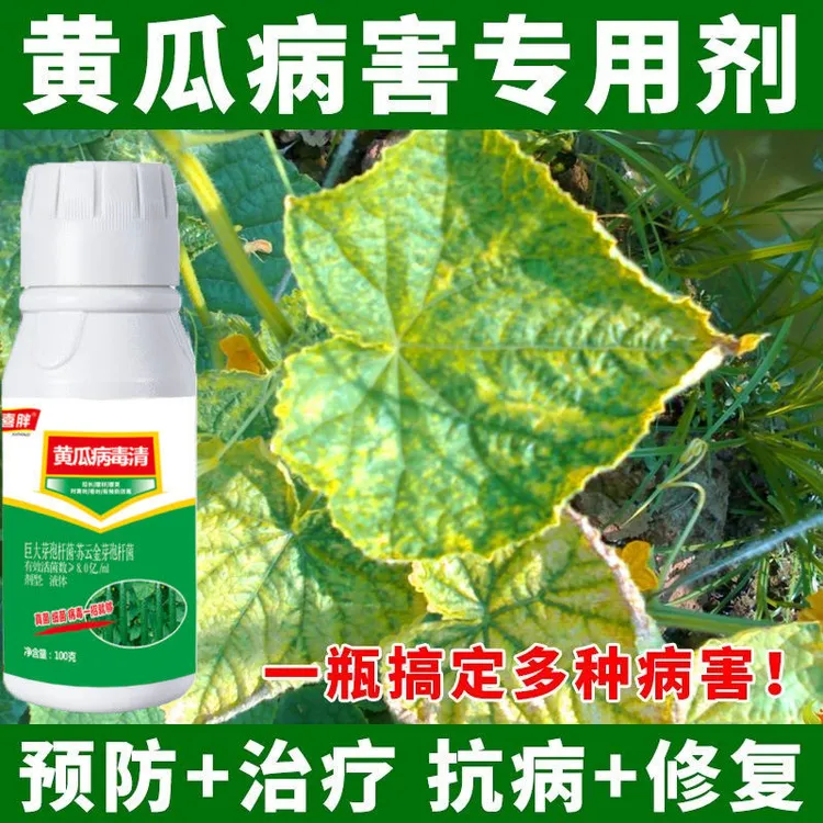 白菜专用药黄点角斑病白粉褐斑病灰霉病炭疽菌立清专利杀菌剂生物