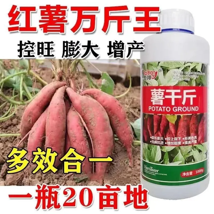 红薯根茎控旺膨大素红薯专用肥增产叶面肥红薯增甜红薯膨大增产剂