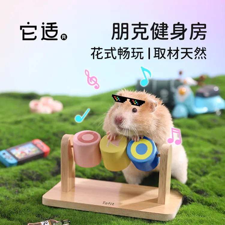 它适仓鼠用品打碟玩具金丝熊健身房磨牙套装木质专用造景生活用品