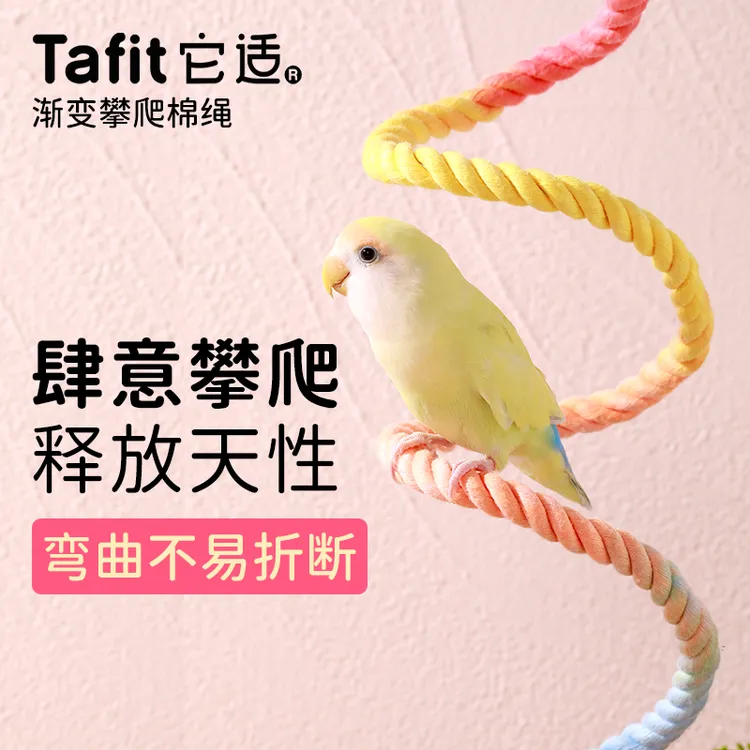 它适彩虹攀爬绳2鹦鹉玩具虎皮牡丹磨爪站杆小太阳鸟玩具旋转秋千