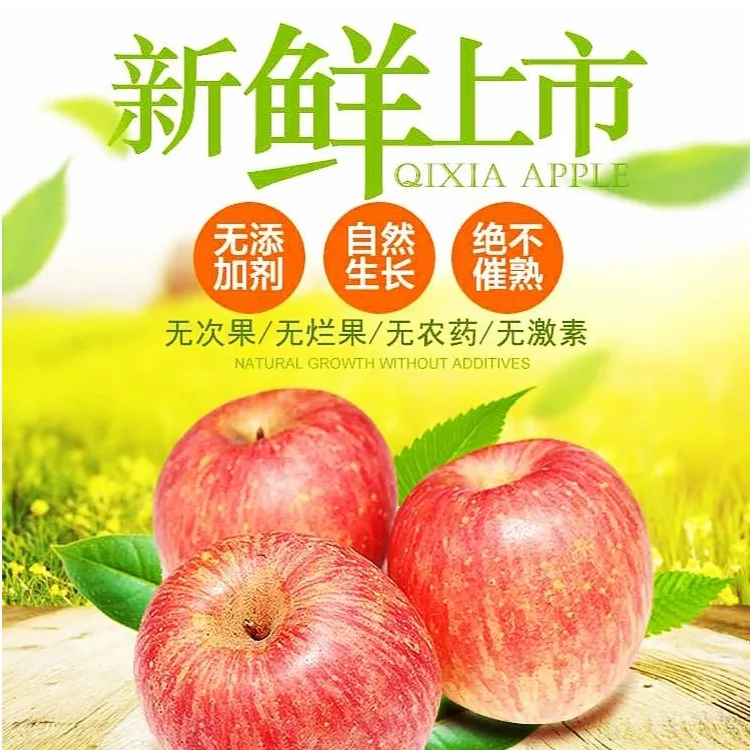 淮北市烈山区和村苹果