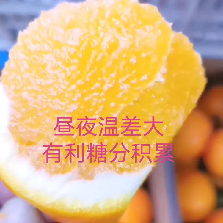 江西赣南大果脐橙，自家果园直发，顺丰包邮，10斤采箱装75-85mm