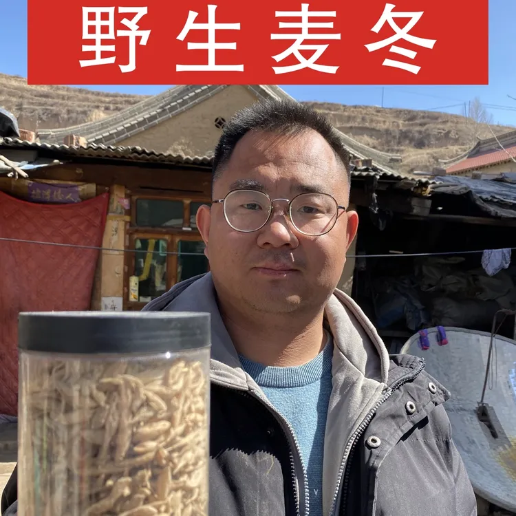 【周老汉推荐】多年生麦冬 麦冬 精选
