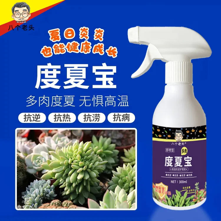 八个老头多肉度夏宝植物抗逆护理液多肉专用营养液抗高温土壤生长