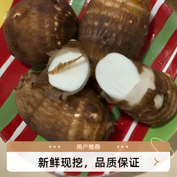 山东毛芋头香芋头芋艿新鲜香芋又名牛奶小芋头