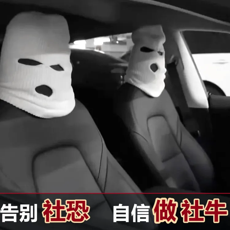 英为个性搞笑毛绒座椅头套车载哨兵模式帽子通用配件