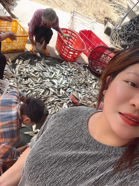 南日岛黄尾巴巴浪鱼