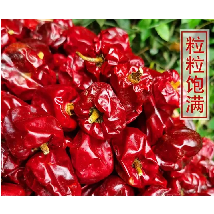 正宗农家微辣特香浓郁灯笼椒原味椒香奇葩商用家用干辣椒