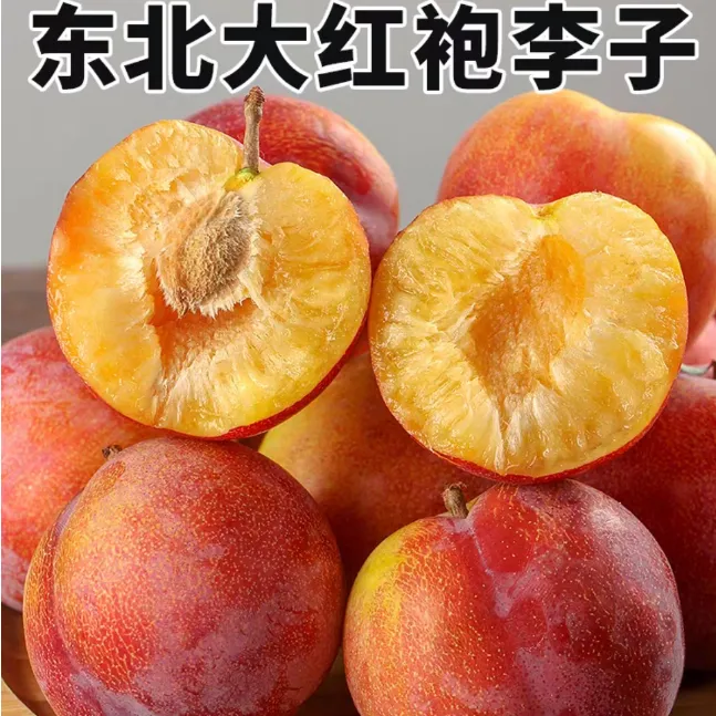 东北正宗大红袍李子 新鲜水果酸甜口皮薄当季孕妇水果黄心李子