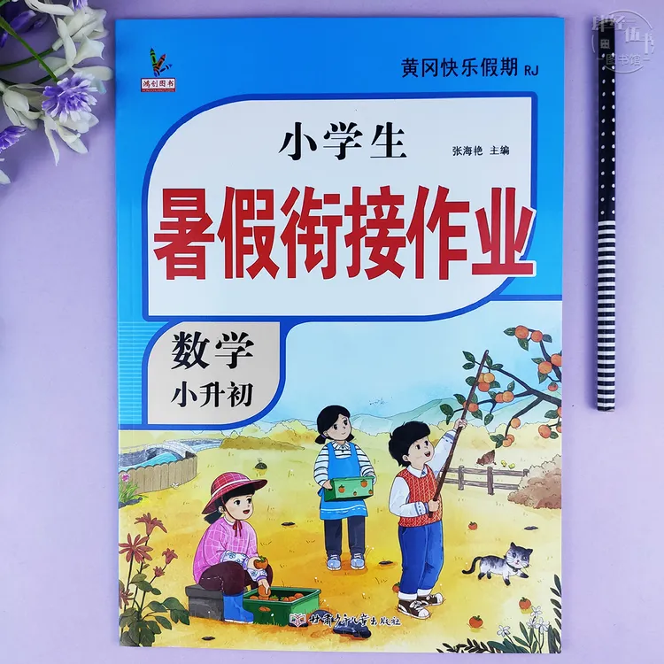 人教版小升初6年级数学暑假衔接作业数学六年级暑假作业6年级数学