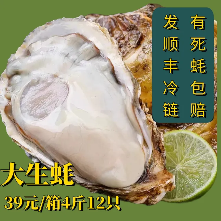 山东冷水鲜活生蚝肥美海蛎子精品海鲜刺身深海生蚝蒸生蚝烤生蚝