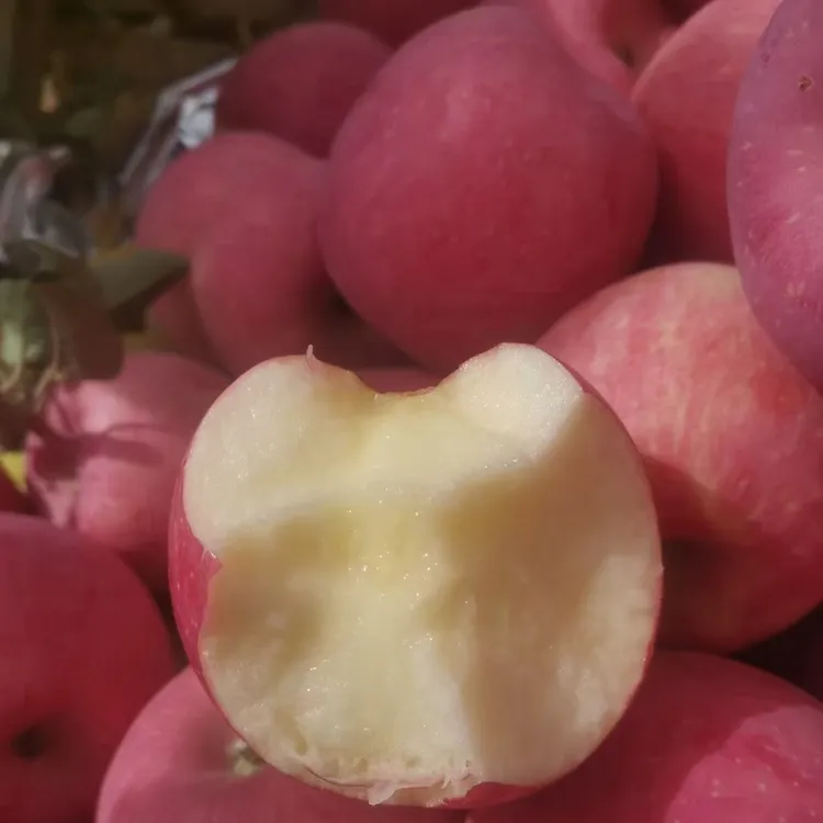 2025(新果）天水秦安红富士苹果12-24个装