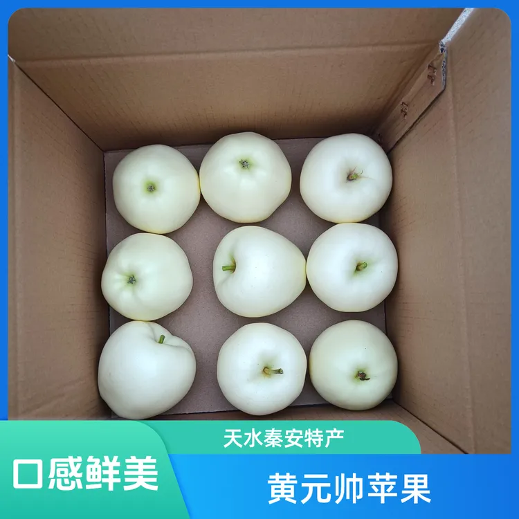 (2025新果)甘肃天水秦安黄元帅苹果（9/12个/18个/24个装）