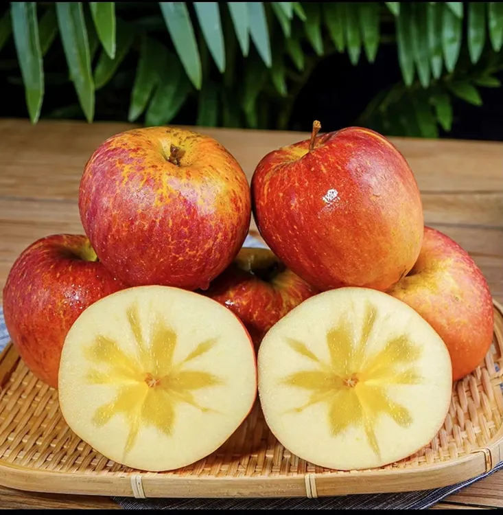 2025云南昭通丑苹果冰糖心脆甜苹果新鲜现摘当季水果5/9斤包邮