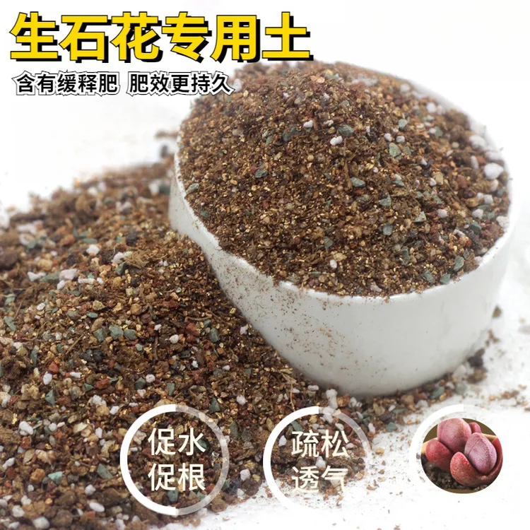 多肉生石花专用颗粒土疏松透气养花通用配方营养土泥炭土肉锥PP土
