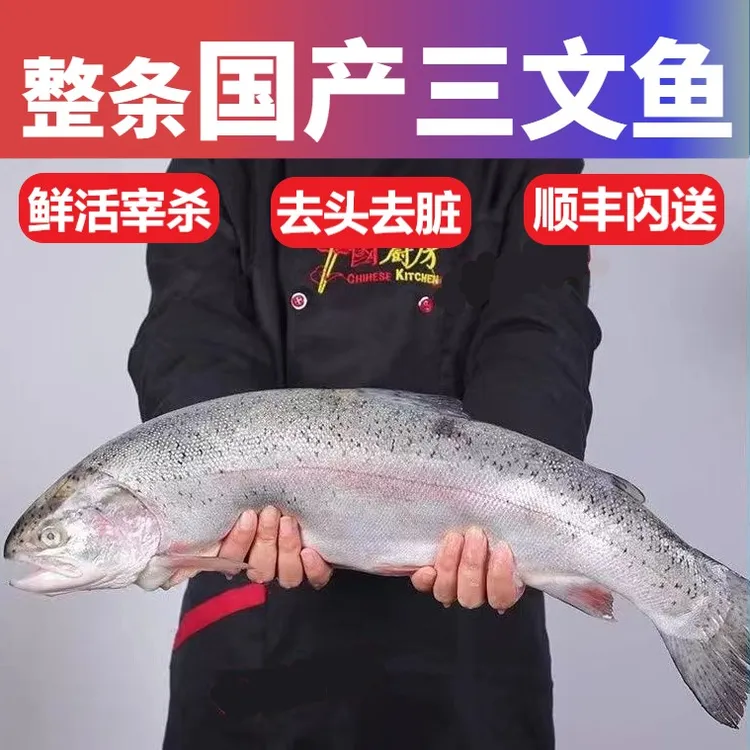 整条国产三文鱼新疆虹鳟冰鲜发去头去内脏顺丰冷链新鲜正宗冷冻鱼