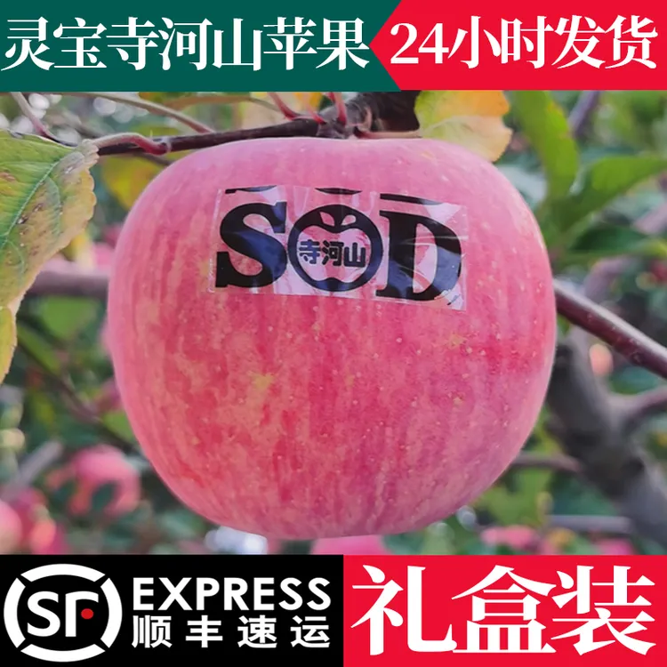 河南灵宝寺河山红富士苹果一级脆甜冰糖心水果年货礼盒顺丰包邮